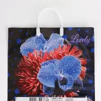 Пакет "Цветочная фантазия, полиэтиленовый, пластиковая ручка 37х35 см 90 мкм 10958 Пакет "Цветочная фантазия, полиэтиленовый, пластиковая ручка 37х35 см 90 мкм 10958