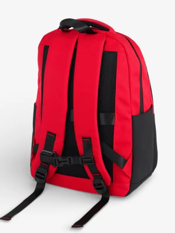 Рюкзак, водонепроницаемое дно, 2 отделения, 3 кармана, 31&times;14.5&times;45 см, красный