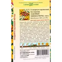 Семена цветов Гелихризум карлик. Лаковые миниатюры* 0,1 г
