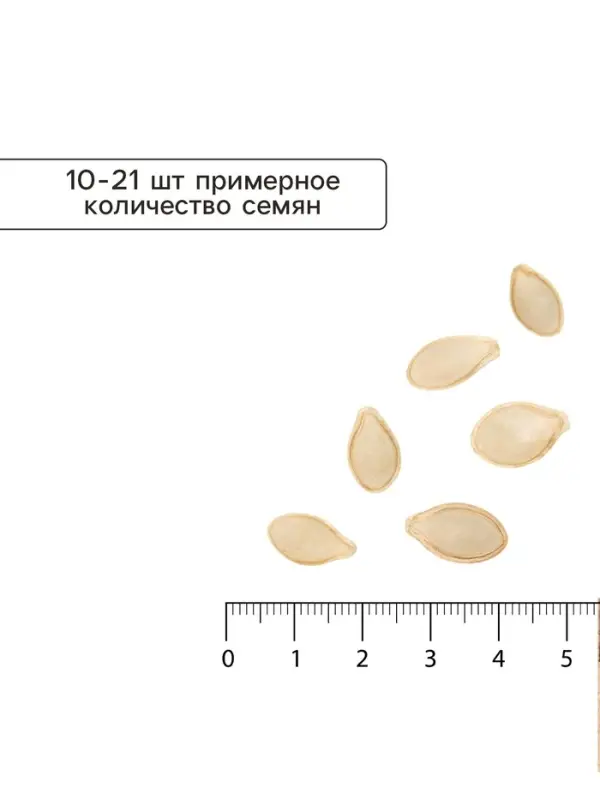 Семена Кабачок цукини &laquo;Зебра&raquo;, 2-3 г, &laquo;Сембат&raquo;