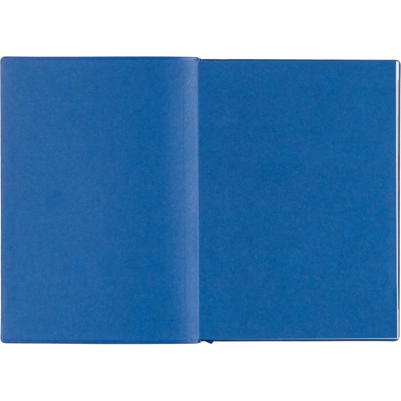 Ежедневник датированный 2026 ESCALADA А6+ (126х174мм), 176л, синий 70298