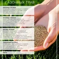 Газонная травосмесь &laquo;Мавританский &raquo; 0.5 кг
