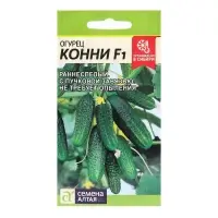 Семена Огурец &laquo;Конни&raquo;, F1, 5 шт., &laquo;Семена Алтая&raquo;