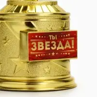 Статуэтка наградная &laquo;Ты звезда!&raquo;, пластиковая, цвет золотой