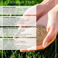 Газонная травосмесь&laquo;Красотень&raquo;, Ленивый, 0.5 кг