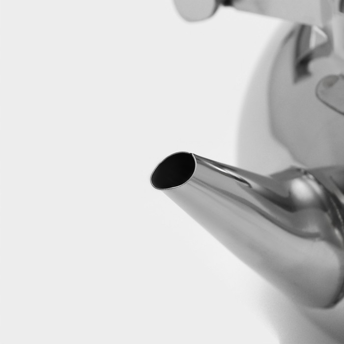 Чайник из нержавеющей стали «Жуан», 1,15 л, металлическое сито, цвет хромированный Чайник из нержавеющей стали «Жуан», 1,15 л, металлическое сито, цвет хромированный