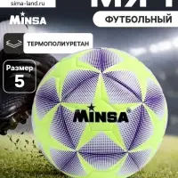 Футбольный мяч MINSA, машинная сшивка, 12 панелей, р. 5, TPE