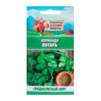 Семена Кориандр "Янтарь", 5 г Семена Кориандр "Янтарь", 5 г