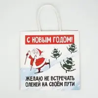 Пакеты подарочные новогодние &laquo;Новый год&raquo;, 22&times;22&times;11 см, 10 шт.