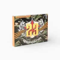 Чай подарочный &laquo;23 февраля&raquo;, 54 г (30 пакетиков &times; 1.8 г).