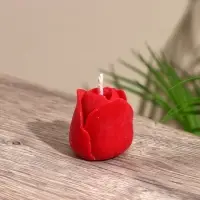 Свеча "Тюльпан" 4х4х4 см, соевый воск Свеча "Тюльпан" 4х4х4 см, соевый воск