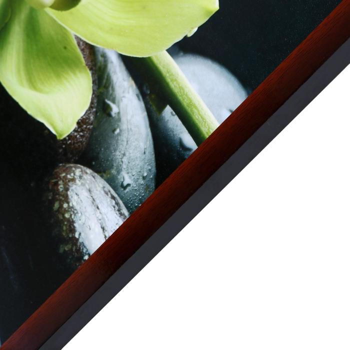 Картина  Картина "Орхидея-2" 67х107 см