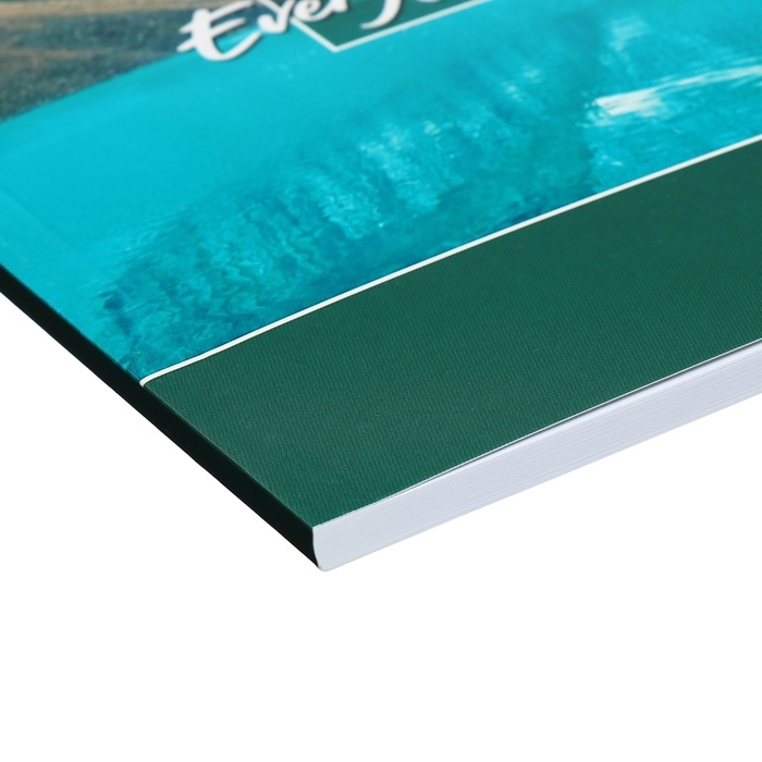 Альбом для рисования А4, 40 листов на склейке Альбом для рисования А4, 40 листов на склейке "Природа", обложка мелованный картон, выборочный УФ-лак, блок офсет 120г/м2