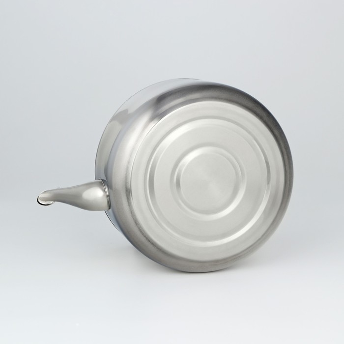 Чайник со свистком из нержавеющей стали, 5 л, цвет хромированный Чайник со свистком из нержавеющей стали, 5 л, цвет хромированный