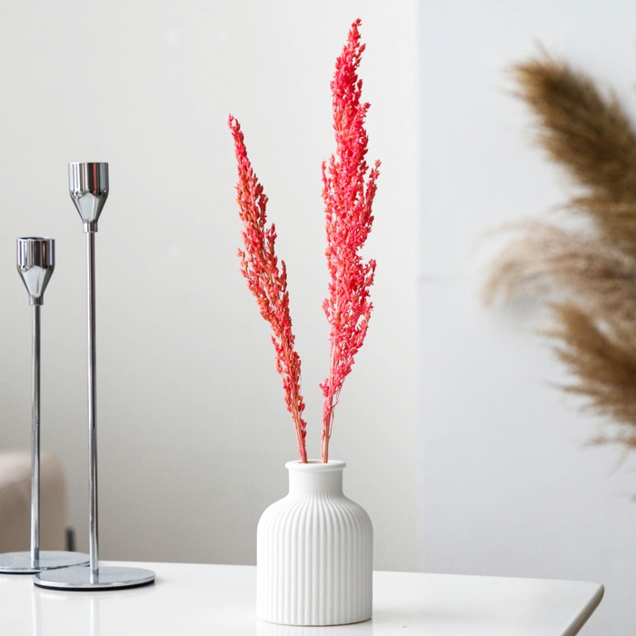 Сухие цветы сорги, 5 г, цвет розовый Сухие цветы сорги, 5 г, цвет розовый