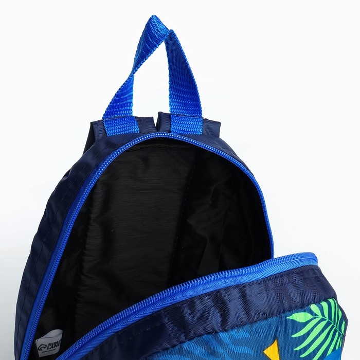 Рюкзак школьный детский для мальчика «Динозавр», 20х13х26, отд на молнии, синий