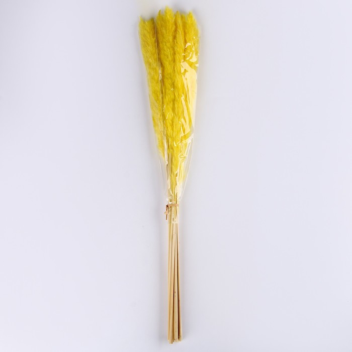 Сухоцвет &laquo;Камыш&raquo; набор 15 шт, цвет оранжевый