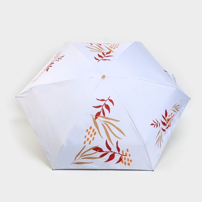 Зонт женский «Осеннее настроение», 6 спиц, складывается в размер телефона. Зонт женский «Осеннее настроение», 6 спиц, складывается в размер телефона.