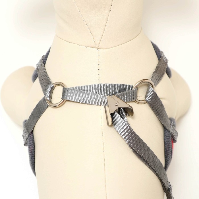 Комплект амуниции с мягкой шлейкой, L, поводок 120 х 1,5 см, ОШ 30-50 см, ОГ 36-56 см, красный   473 Комплект амуниции с мягкой шлейкой, L, поводок 120 х 1,5 см, ОШ 30-50 см, ОГ 36-56 см, красный   473