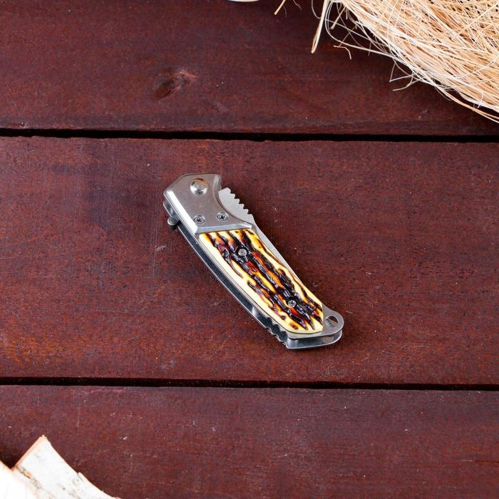 Нож складной полуавтоматический Нож складной полуавтоматический "Пескарь", клинок 6см, слон. кость