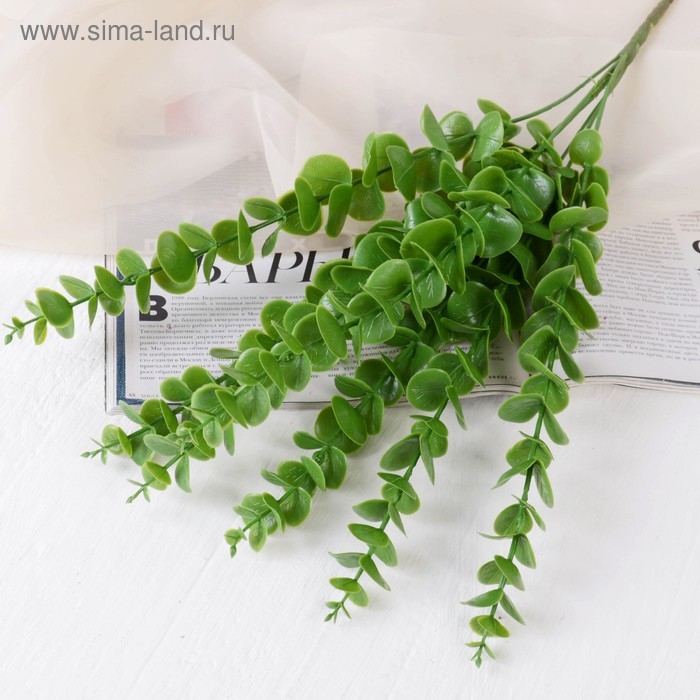 Букет  Букет "Эвкалипт" 45 см
