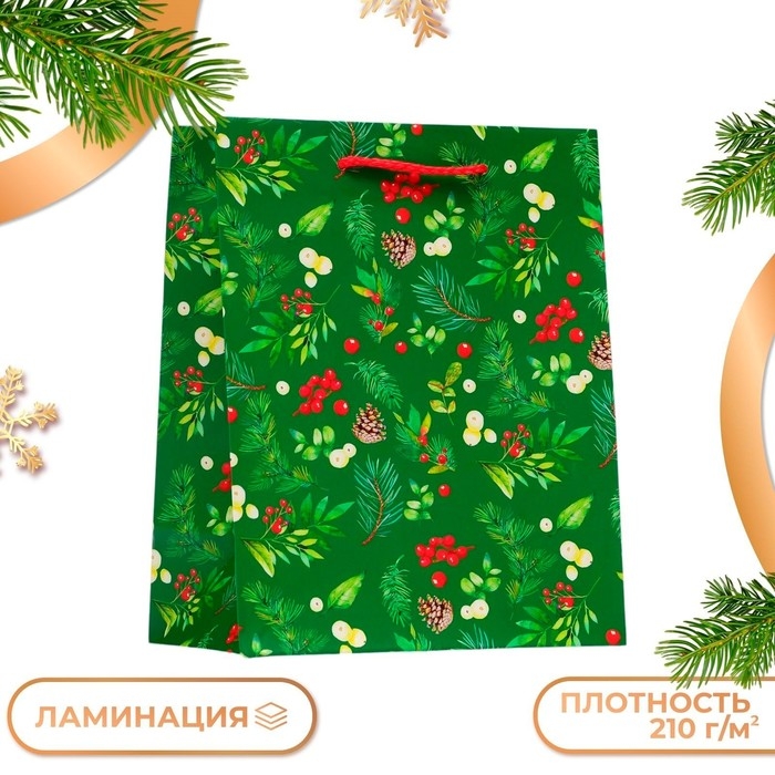 Новый год. Пакет подарочный  Новый год. Пакет подарочный "Веточки", 18 х 22,3 х 10 см.