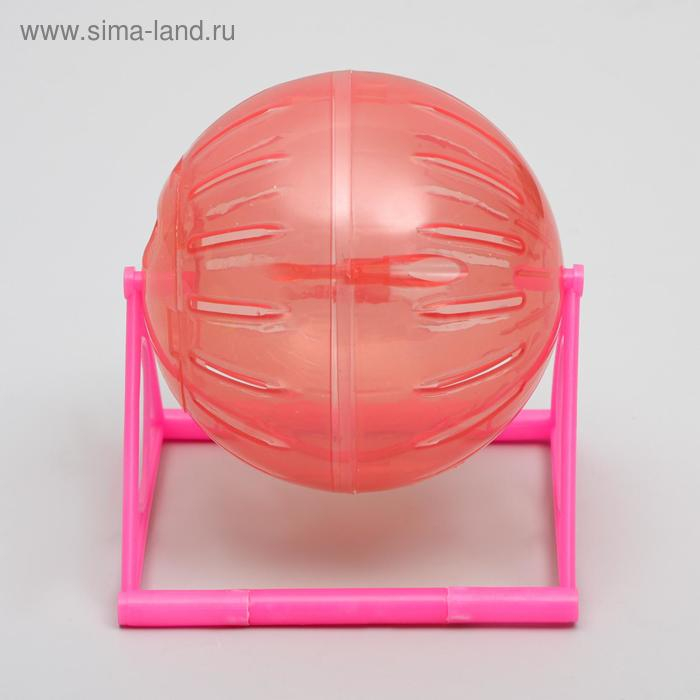 Шар для грызунов на пластиковом основании, 12 см, микс цветов Шар для грызунов на пластиковом основании, 12 см, микс цветов