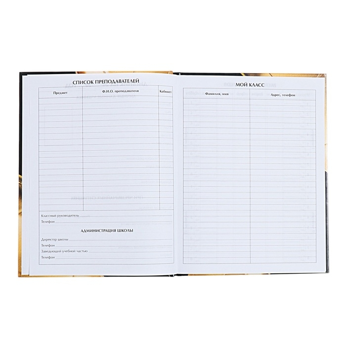 Дневник универсальный для 1-11 классов, "Золотой мяч", твердая обложка 7БЦ, глянцевая ламинация, 40 листов