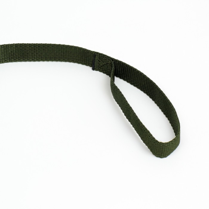 Поводок 5 м х 2 см, зелёный Поводок 5 м х 2 см, зелёный