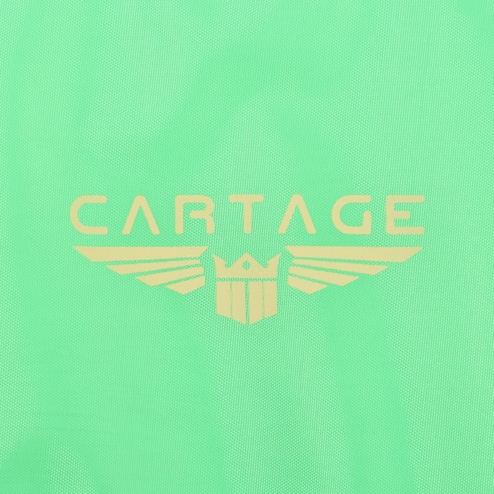 Термосумка Cartage Т-20, салатовый, 10 л, 26х19х19 см Термосумка Cartage Т-20, салатовый, 10 л, 26х19х19 см