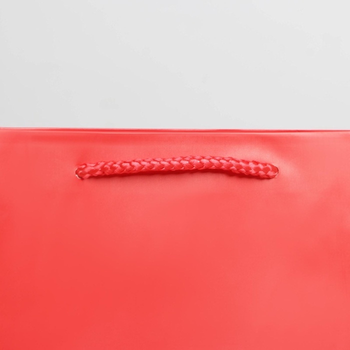 Пакет подарочный ламинированный, упаковка, «Красный», ML 21 х 25 х 8 см