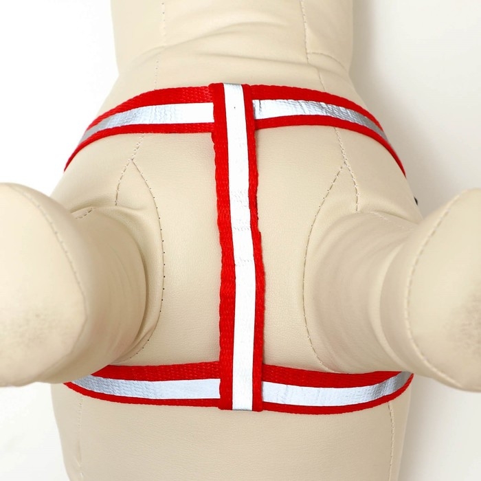 Комплект  Комплект "Плетенка", флуоресцентный, поводок 115 х 1 см, ОГ 32-48 х 1,5 см, красный