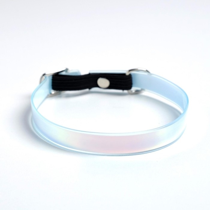 Ошейник для собак и кошек с фастексом «Неон» , 30 х 1 см Ошейник для собак и кошек с фастексом «Неон» , 30 х 1 см