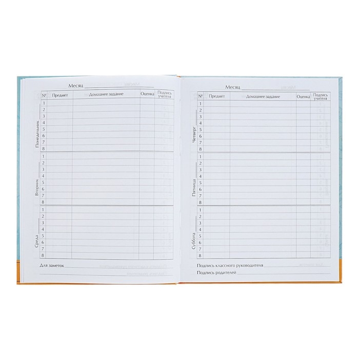 Дневник для 5-11 классов Дневник для 5-11 классов "Снова в школу. Герб", твёрдая обложка, глянцевая ламинация, 48 листов