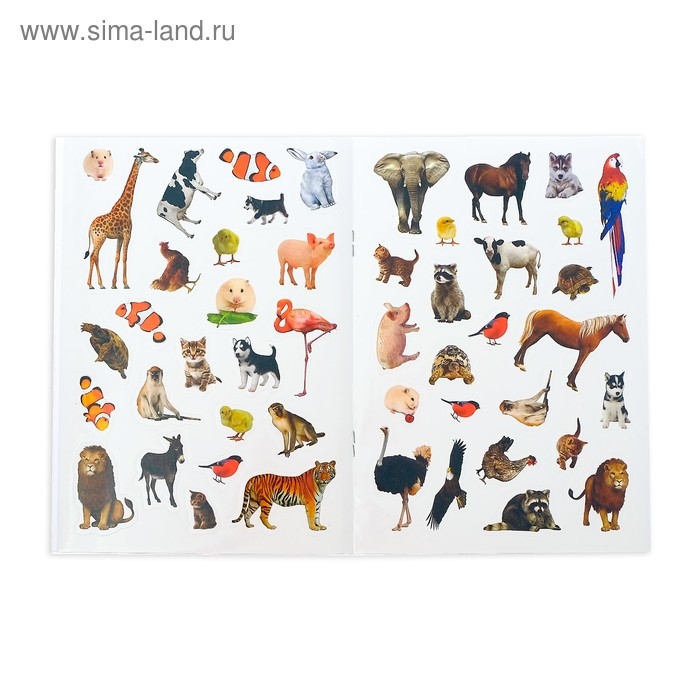 100 наклеек набор «Для юных гениев», 3 шт. по 12 стр. 100 наклеек набор «Для юных гениев», 3 шт. по 12 стр.