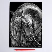 Гравюра «Лошадь» с металлическим эффектом «серебро» А4 Гравюра «Лошадь» с металлическим эффектом «серебро» А4