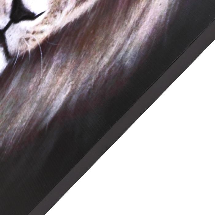 Картина на холсте Картина на холсте "Царь зверей" 60х100 см