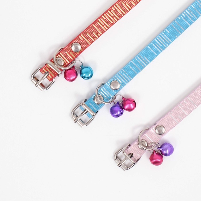 Ошейник Ошейник "Блестящая полоса", искусственная кожа, 31 х 1 см, микс цветов