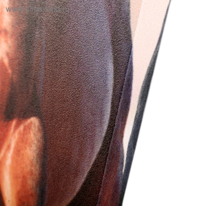 Картина модульная на подрамнике  Картина модульная на подрамнике "Скакуны" (2-25х50, 2-25х67, 25х80 см) 125х80 см