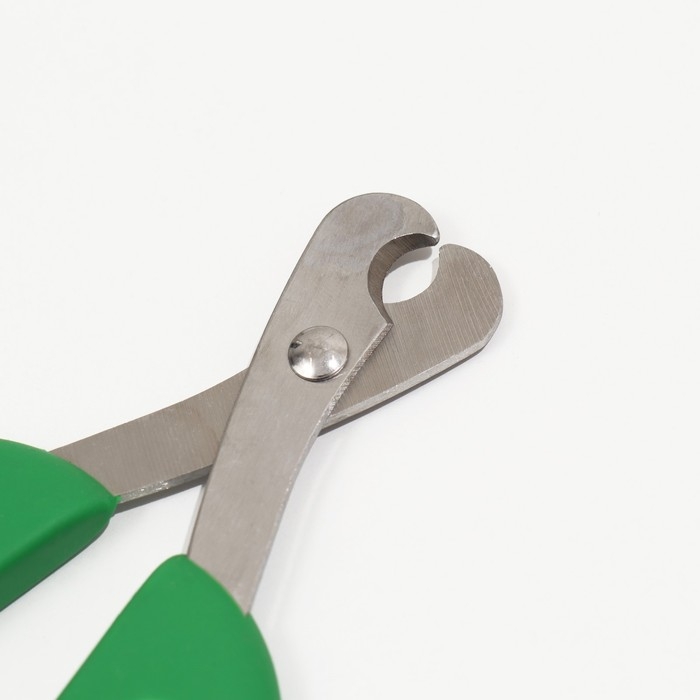 Ножницы-когтерезы большие с упором для пальца, 15,4 х 7 х 0,5 см, эконом, микс цветов Ножницы-когтерезы большие с упором для пальца, 15,4 х 7 х 0,5 см, эконом, микс цветов