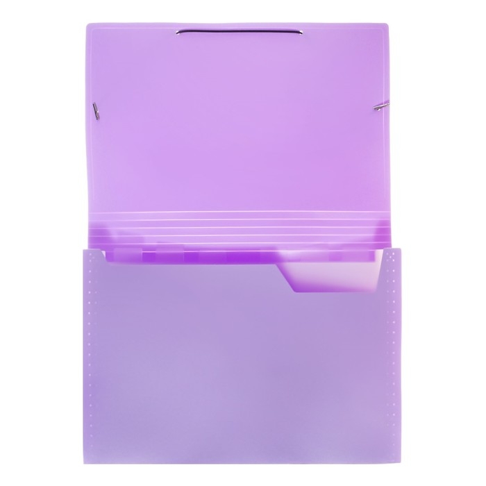 Папка картотека А4, Calligrata Папка картотека А4, Calligrata "Акварель", 6 отделений, пластиковая, 700 мкм, лавандовая, резинка чёрная