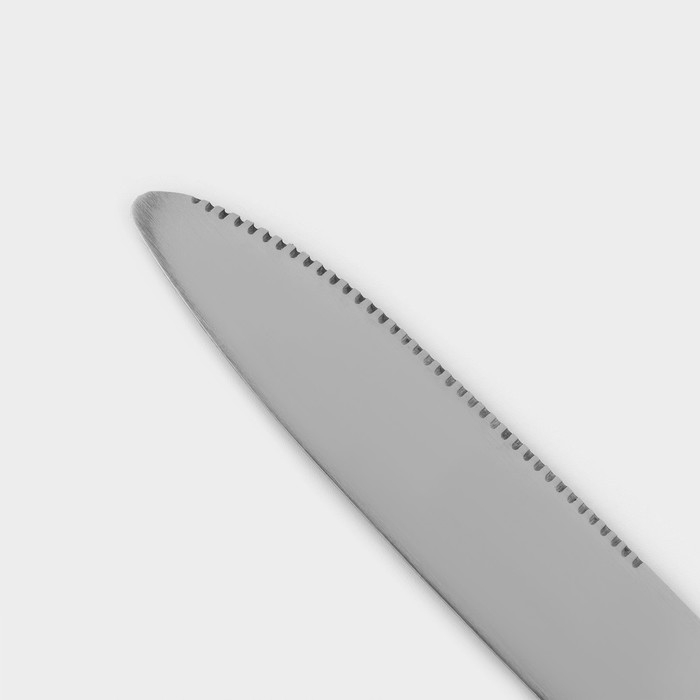 Столовые приборы из нержавеющей стали «Классика», 24 предмета, на подставке, толщина 1,2 мм, цвет серебряный Столовые приборы из нержавеющей стали «Классика», 24 предмета, на подставке, толщина 1,2 мм, цвет серебряный