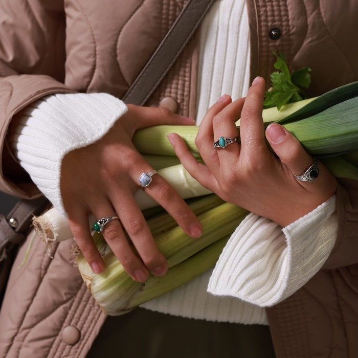 Кольцо «Натурель» Артемида, размер МИКС, цвет МИКС Кольцо «Натурель» Артемида, размер МИКС, цвет МИКС