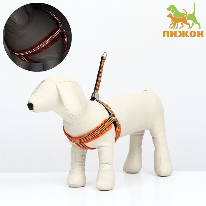 Шлейка супермягкая со светоотражающей прошивкой, размер М, обхват 32-63 см, оранжевая Шлейка супермягкая со светоотражающей прошивкой, размер М, обхват 32-63 см, оранжевая