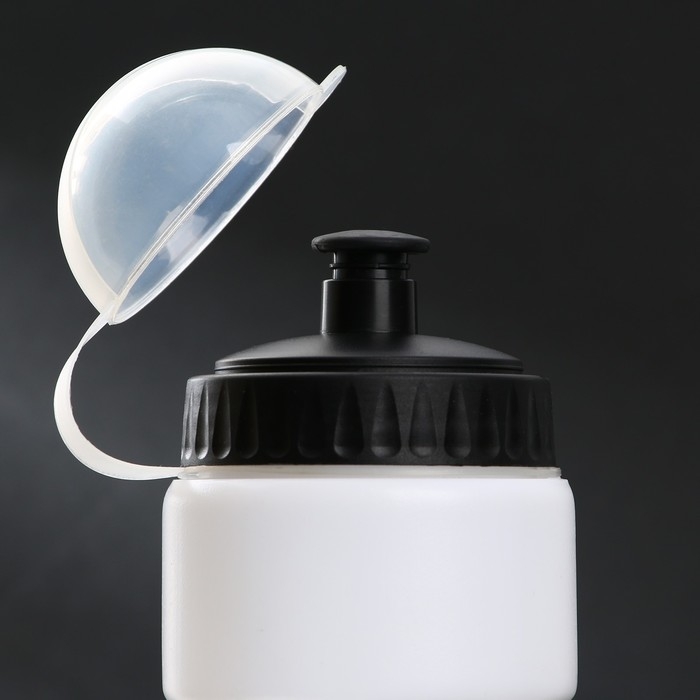 Бутылка для воды «Красота», 750 мл Бутылка для воды «Красота», 750 мл