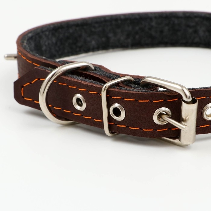 Ошейник кожаный на синтепоне, с шипами, 2 х 40 см, ОШ 25-35 см,тёмно-коричневый Ошейник кожаный на синтепоне, с шипами, 2 х 40 см, ОШ 25-35 см,тёмно-коричневый