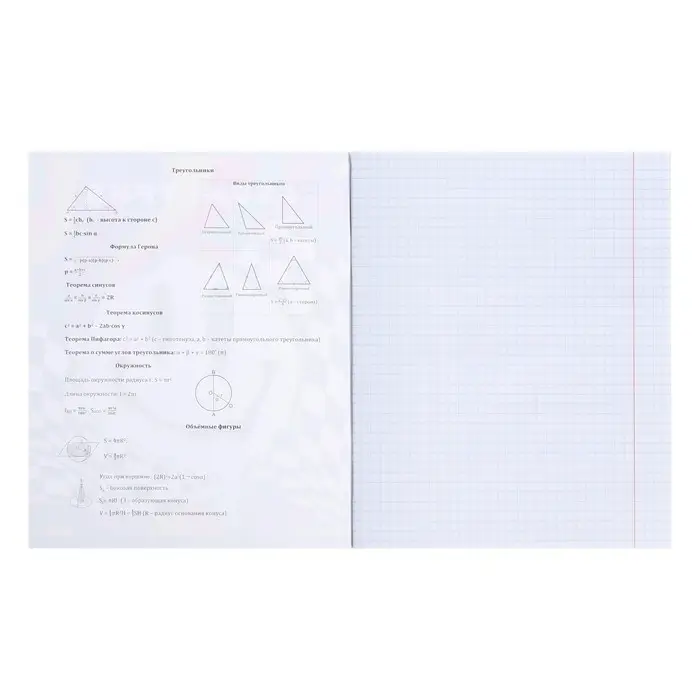 Тетрадь предметная 48 листов в клетку Error &laquo;Геометрия&raquo;, обложка мелованная бумага