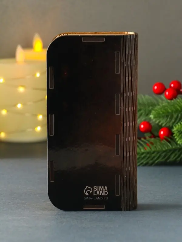 Новогодняя шкатулка "Богатства" 17х8,5 см