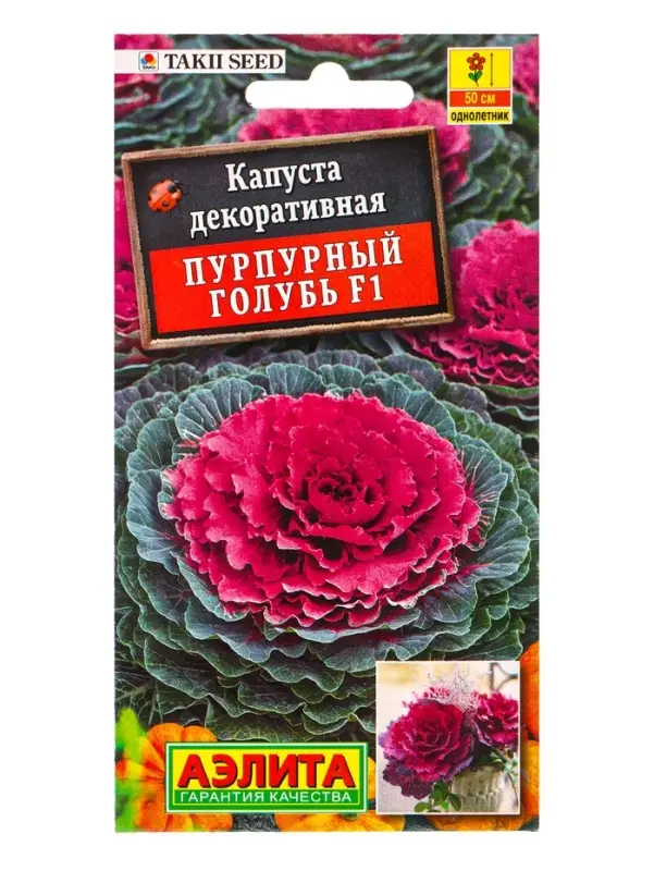 Семена цветов Капуста декоративная Пурпурный голубь F1 С. Takii Seed, Ц/П,7 шт. Семена цветов Капуста декоративная Пурпурный голубь F1 С. Takii Seed, Ц/П,7 шт.