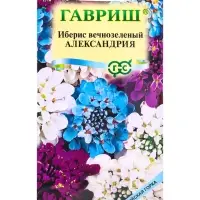 Семена цветов Иберис вечнозеленый &laquo;Александрия&raquo; 0.1 г